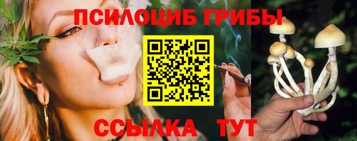 Кудымкар  Псилоцибиновые грибы ЛСД  Галлюциногенные грибы Psilocybine cubensis  Вход с VPN 